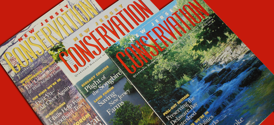 http://www.redroostergroup.com/2010/08/18/nj-conservation-publication/
