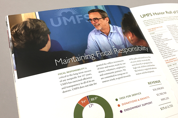 UMFS Annual Report 2017 Financials