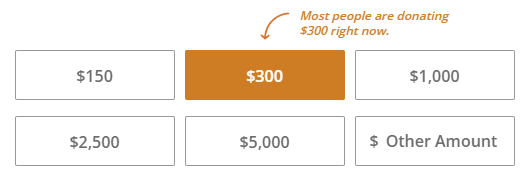 Suggested donation amounts on the CARE donation form. The $300 donation amount is highlighted with a note saying “Most people are donating $300 right now.”